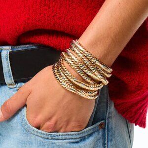 Roxanne Assoulin The Double Cobra Bracelet in Tricolor